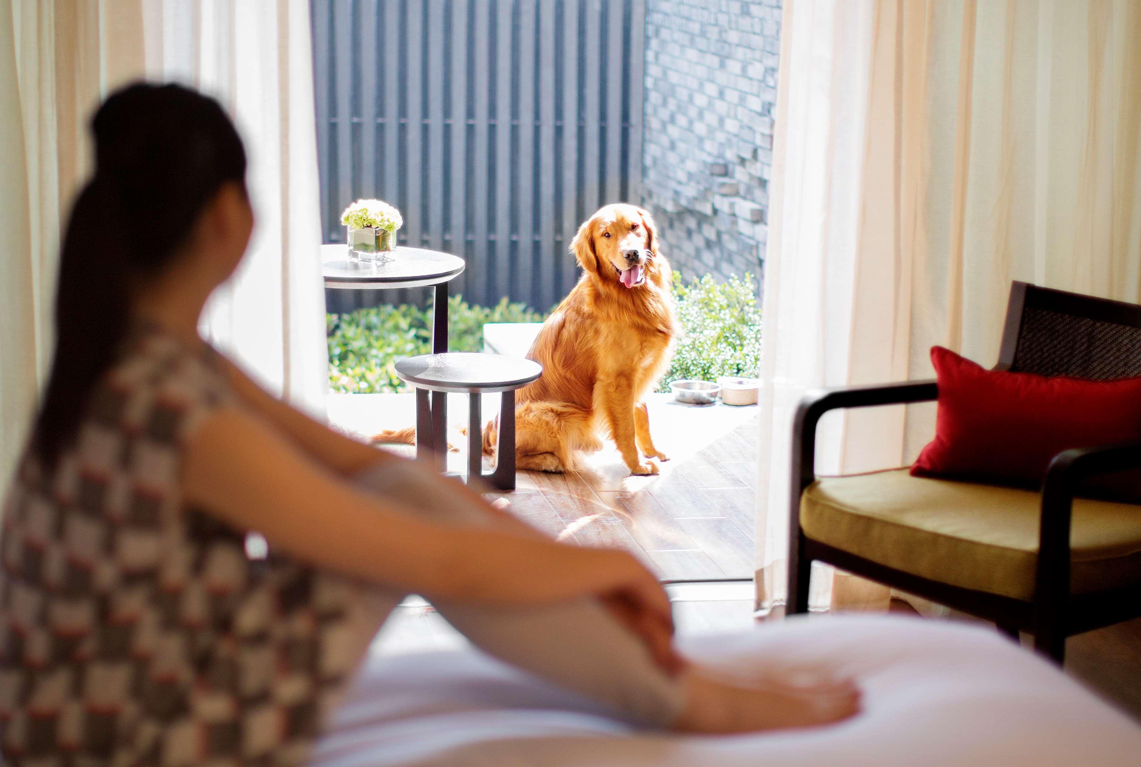 Hyatt Regency Chongming Hotell Eksteriør bilde