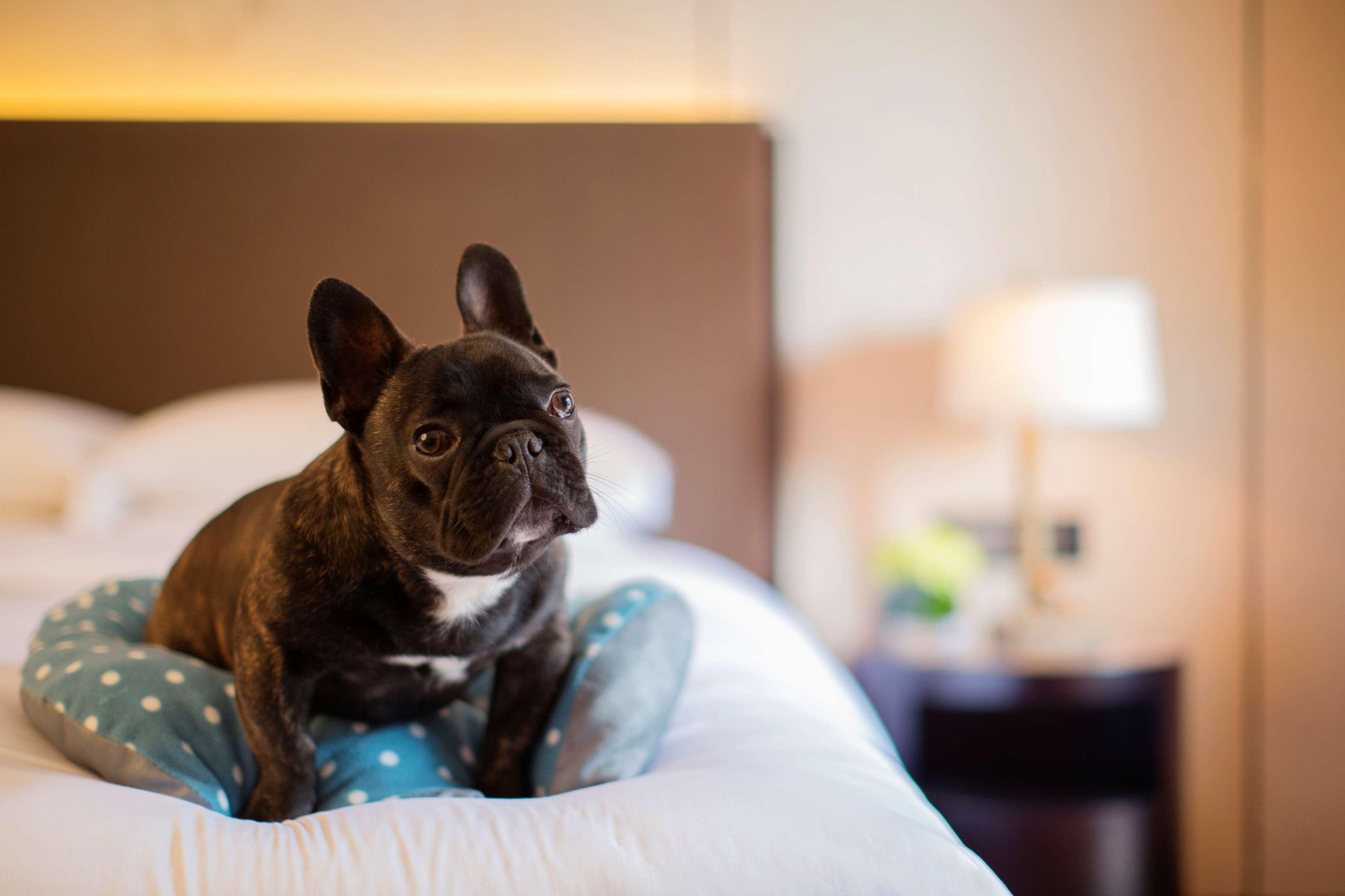 Hyatt Regency Chongming Hotell Eksteriør bilde